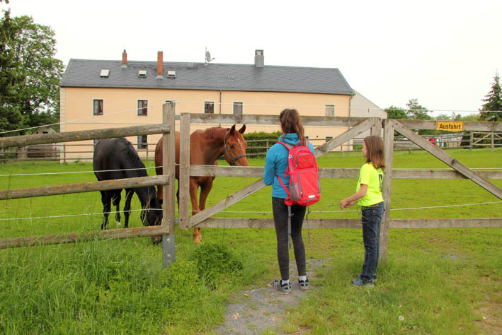 Pferdegestüt bei Moritzburg