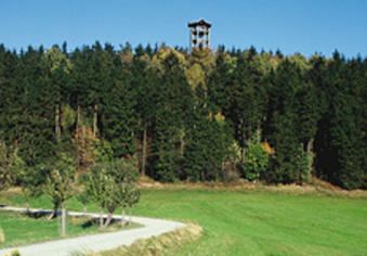 Der Weifberg mit Aussichtsturm bei Hinterhermsdorf